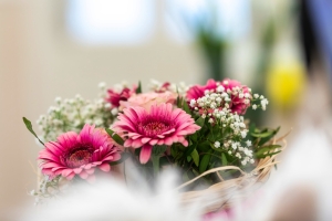 Zahnarztpraxis Werderstrasse - Blumen